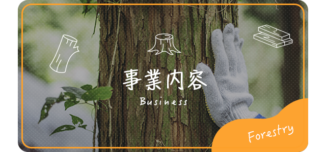 sp_bnr_business